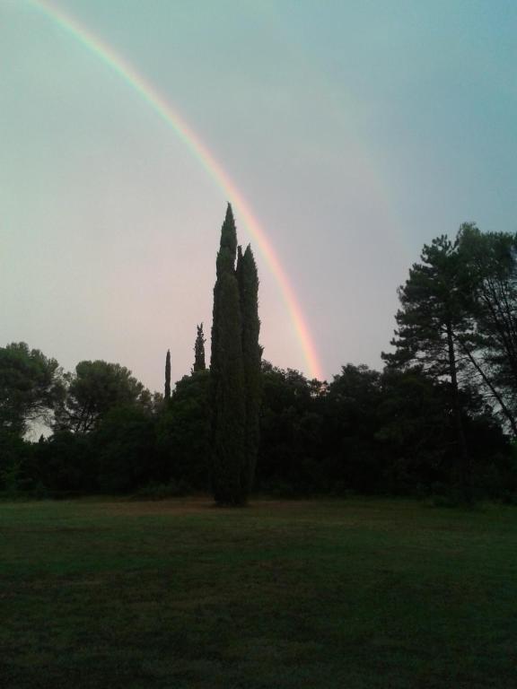 Domaine De Saint Clement Bed & Breakfast Prades-le-Lez ภายนอก รูปภาพ